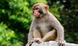 Cuối tuần này, top 3 con giáp có cơ hội đổi đời, gặp nhiều may mắn, vừa có tình vừa có tiền