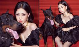Á hậu Phương Nga lên tiếng sau khi gây tranh cãi vì mang chó không đeo rọ mõm lên thảm đỏ