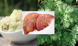 Đã tìm thấy 'vua thảo mộc tự nhiên' giúp giải độc gan, nhất định phải ngâm chúng trong nước rồi uống để phục hồi tế bào và cải thiện chức năng gan