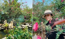 Khu vườn tràn ngập hoa thơm của NSND Minh Hằng, cuộc sống đáng mơ ước khi về hưu