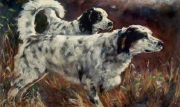 Cuối tuần này, top 3 con giáp đổi vận may mắn, tiền đầy túi, tình đầy tim, cuộc sống thăng hoa viên mãn