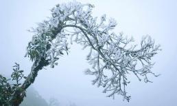 Hôm nay miền Bắc rét 'đỉnh điểm', đợt rét đậm rét hại nhất từ đầu mùa đông kéo dài bao lâu?