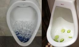 Tại sao các nhà hàng thường đổ các viên đá lạnh vào bồn cầu?