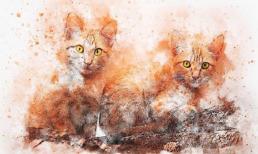 Tuần tới, top 3 con giáp gặp nhiều hỷ sự, cuộc sống thăng hoa, đại cát đại lợi