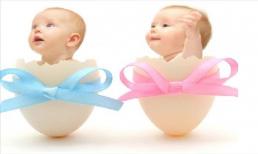 Mẹ thuộc 3 con giáp này sẽ sinh ra con có chỉ số IQ cao, cực kì thông minh