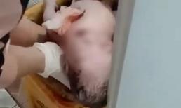 Nghẹt thở khoảnh khắc giải cứu bé sơ sinh bị mẹ 18 tuổi bỏ vào thùng rác bệnh viện