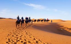 Sa mạc Sahara sâu bao nhiêu? Nếu tất cả cát được đào hết, những gì sẽ còn lại bên dưới?