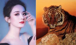 Tháng Chạp tài lộc tràn trề, 3 con giáp sự nghiệp hanh thông, ngày nào cũng bận đếm tiền