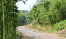 Trắc nghiệm tâm lý: Bạn sẽ chọn con đường nào? Bạn cần điều gì nhất trong trái tim mình? 