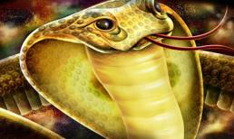 Hung tinh đeo bám, 3 con giáp gặp họa trắng tay, làm gì cũng thất bại trong 5 ngày cuối cùng của năm 2020