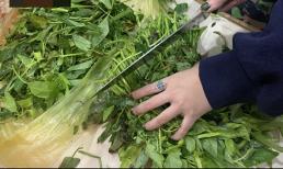 Đến nhà bạn trai ra mắt, cô gái bị mẹ chồng tương lai 'đuổi thẳng cổ' chỉ vì chuyện dùng dao cắt mớ rau