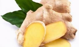 Gừng cộng với nó được gọi là 'thuốc nhuận tràng mạnh mẽ', có thể thải phân đen và có mùi hôi và làm mới hơi thở