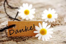 Năm 2020 sẽ kết thúc trong một ngày nữa, bạn hối tiếc điều gì nhất trong năm nay?