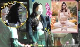 Siêu mẫu gốc Việt bỏ 'Thiên vương Hong Kong' để cưới đại gia giờ đã mang thai lần 2