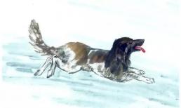 Trong số 4 con giáp có số vượng phu ích tử vào năm 2021, Thìn chỉ đứng thứ 3