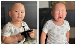 Nhóc tỳ nhà Trà My Idol hơn một tuổi đã được phong 'thánh Meme'