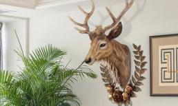 Tránh xa những cấm kỵ này trong phong thủy phòng khách nếu không muốn việc làm ăn ngày càng lụn bại