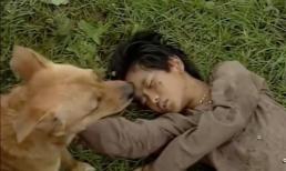 Sau khi 'Cậu Vàng' bị ném đá vì casting chó Shiba, diễn xuất lấy nước mắt của chú chó ta trong 'Đất Phương Nam' bất ngờ gây sốt trở lại  