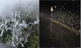 Hội mê phượt xôn xao trước thông tin tuyết rơi ở Sapa rạng sáng ngày 11/1