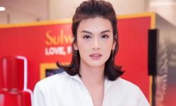 Được khuyên làm người kế nhiệm Hương Giang thi Miss International Queen, Đào Bá Lộc nói gì?