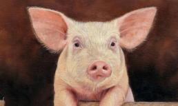 Tháng 12 âm lịch: Top con giáp kiếm tiền đỉnh nhất, Thần Tài mở két, tiền bạc rủng rỉnh