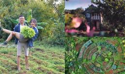 Từ bỏ Sài Gòn phồn hoa, vợ chồng trẻ về sống ở trang trại giữa rừng: Nơi không điện, không sóng điện thoại, wifi