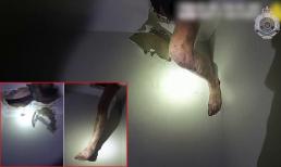 Tên trộm trèo vào từ mái nhà nhưng chưa kịp kiếm chác gì đã phải khóc lóc cầu cứu