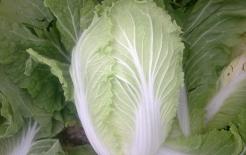 Thực phẩm lành mạnh nhất trong mùa đông là gì? 3 loại thực phẩm này bổ dưỡng, tốt cho sức khỏe và thanh nhiệt nên ăn nhiều