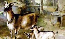 Cuối tuần này, top 3 con giáp đón lộc trời rơi xuống, tài lộc vượng phát, tìm được cơ hội đổi đời