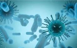 Thứ mà ung thư ban đầu sợ không phải là hành tây và bông cải xanh, mà là 5 thứ đơn giản này