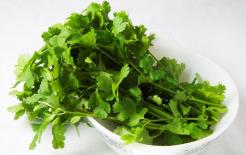 Không nên coi thường lợi ích sức khỏe của rau mùi, có thể gọi đây là “món ăn đầu tiên bảo vệ tim mạch”