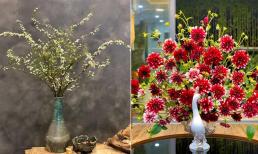 Cách cắm và dưỡng để hoa tuyết mai, thược dược tươi lâu không phải ai cũng biết 