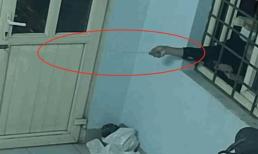 Tên trộm chuyên nghiệp, dùng móc sắt mở cửa, đột nhập cuỗm 2 điện thoại chỉ trong chốc lát