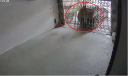 Quên kéo phanh tay, ô tô tụt dốc ép tài xế dính chặt vào cửa gara