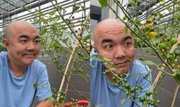 Sau Lý Hải, diễn viên Quốc Thuận là sao Việt sở hữu cây ớt hạt tiêu đắt nhất thế giới 