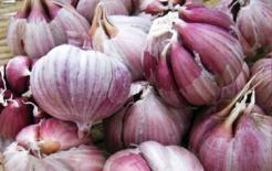 Trong vòng một giờ sau khi ăn tỏi, bạn không được chạm vào thứ này, nhiều người không biết!