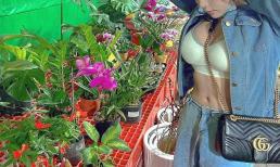 Đi chọn cây ngày Tết, gái xinh trở thành tâm điểm chú ý trên mạng xã hội vì phong cách nổi bật lấn át cả hoa