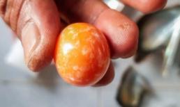 Được 'thần linh báo mộng', ngư dân Thái Lan nhặt được viên ngọc trị giá gần 8 tỷ đồng