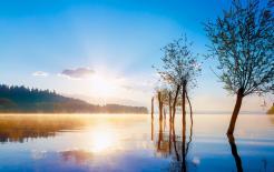 4 con giáp chiều vợ nhất trên trời: yêu vợ đến điên cuồng, phụ nữ chọn đúng sẽ có cuộc sống hạnh phúc vô bờ