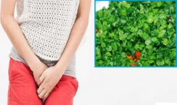 Chín trên mười phụ nữ bị viêm nhiễm, ăn món này nhiều hơn, kháng khuẩn và tiêu viêm, bồi bổ buồng trứng, tránh viêm nhiễm