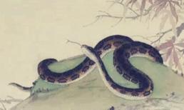 Tết đến Xuân sang, Top 3 con giáp may mắn ngập nhà, luôn được Thần Tài giúp đỡ, cùng gặp quý nhân, vượt kiếp nạn lớn