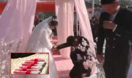 Chú rể hủy cưới khi chi 1,3 tỷ đồng sính lễ để rước dâu nhưng nhận lại hồi môn nhà gái là... 2 con cá