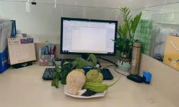 Dân văn phòng cúng tất niên có cả tiêu với chỉ, ẩn ý khiến đồng nghiệp nào cũng muốn