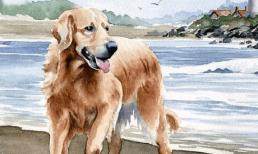 Cuối tuần này, Top 3 con giáp đếm tiền mỏi tay, liên tục đón mưa tài lộc, cuộc đời lên hương, giàu sang vô đối 