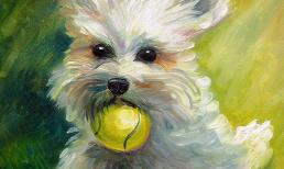 Sau rằm tháng Giêng: Top con giáp được ưu ái đặc biệt, tiền bạc, tình duyên, sự nghiệp đều viên mãn