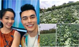 Lê Dương Bảo Lâm và bà xã chủ động giải cứu 5 tấn nông sản cho bà con giữa dịch Covid-19