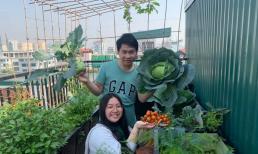 Ca sĩ Trọng Tấn và con gái thu hoạch rau trồng trên tầng thượng