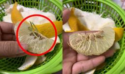 Bổ quả bưởi bỏ quên dưới gầm giường, người đàn ông ngỡ ngàng phát hiện điều kỳ lạ bên trong