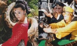 Bạn có còn nhớ tới “đại mãng xà” trong Tây Du Ký không? Không phải là đạo cụ cũng chẳng phải kỹ xảo, không hổ là kinh điển năm nào