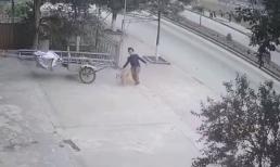 Tông trúng khiến người đàn ông bị ngã mạnh 1 vố, chú chó có hành động khiến dân tình nguôi giận